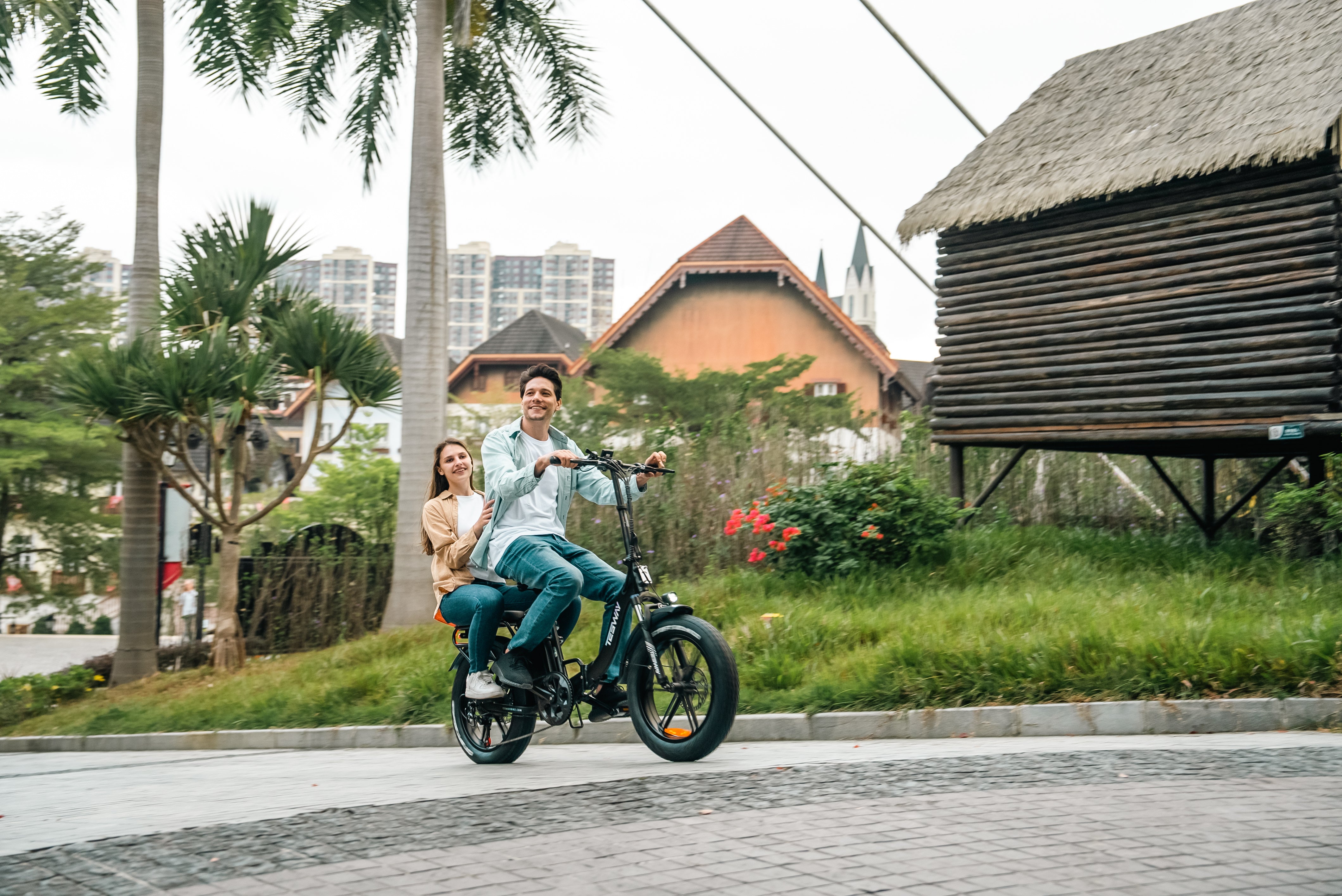 Tesway folding ebike S5 pro