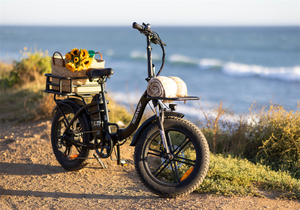 TESWAY black folding ebike