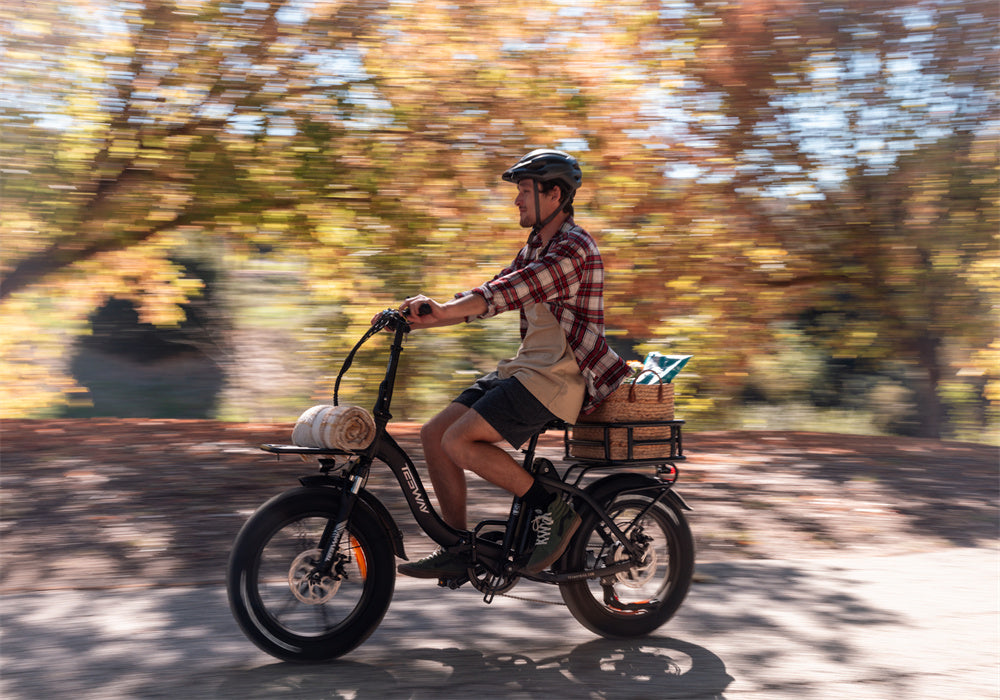 TESWAY electric folding ebike