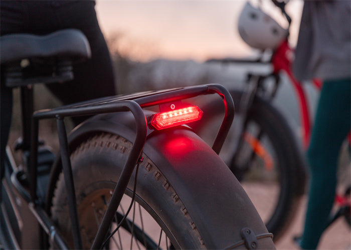Tesway ebike with LED brake light