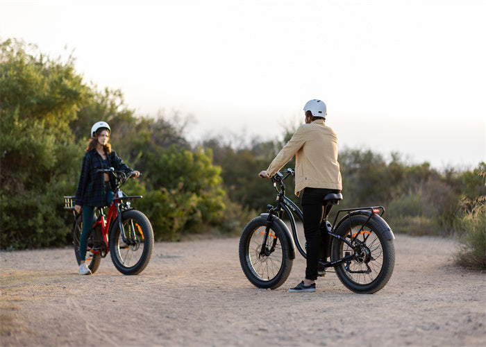 Class 2 Electric Bikes Explained Tesway US Class 2 Electric Bikes Explained Tesway US