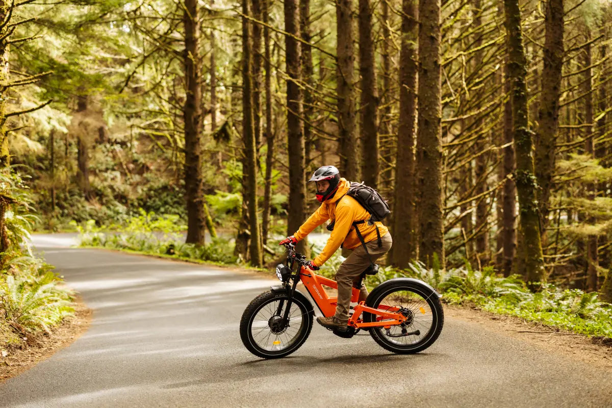 What Is the Difference Between a 3000W and 5000W Electric Bike?