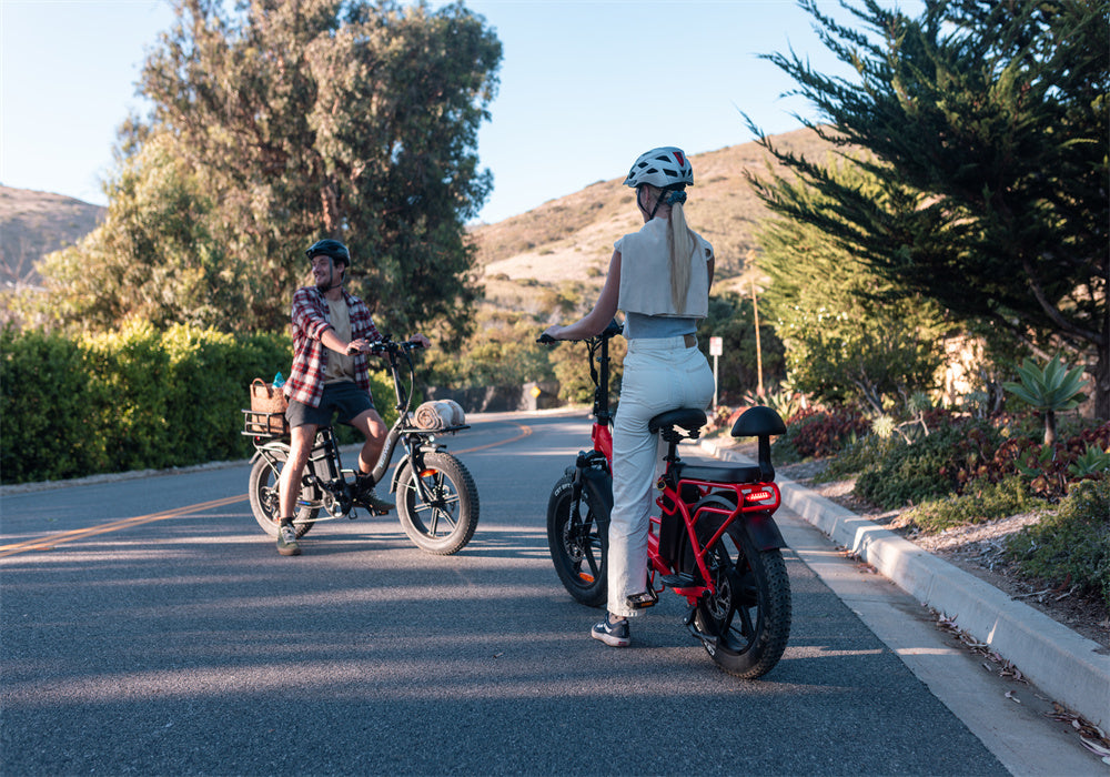 Tesway folding electric bike