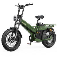 TESWAY X7 AWD - 3600W Dual Motor 200NM Torque