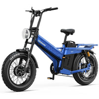 TESWAY X7 AWD - 3600W Dual Motor 200NM Torque
