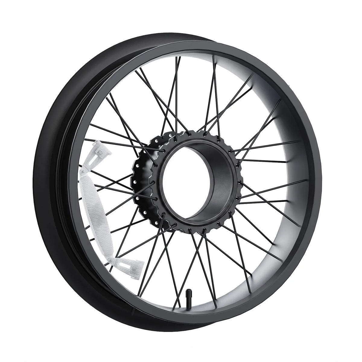 Complete Front Wheel
