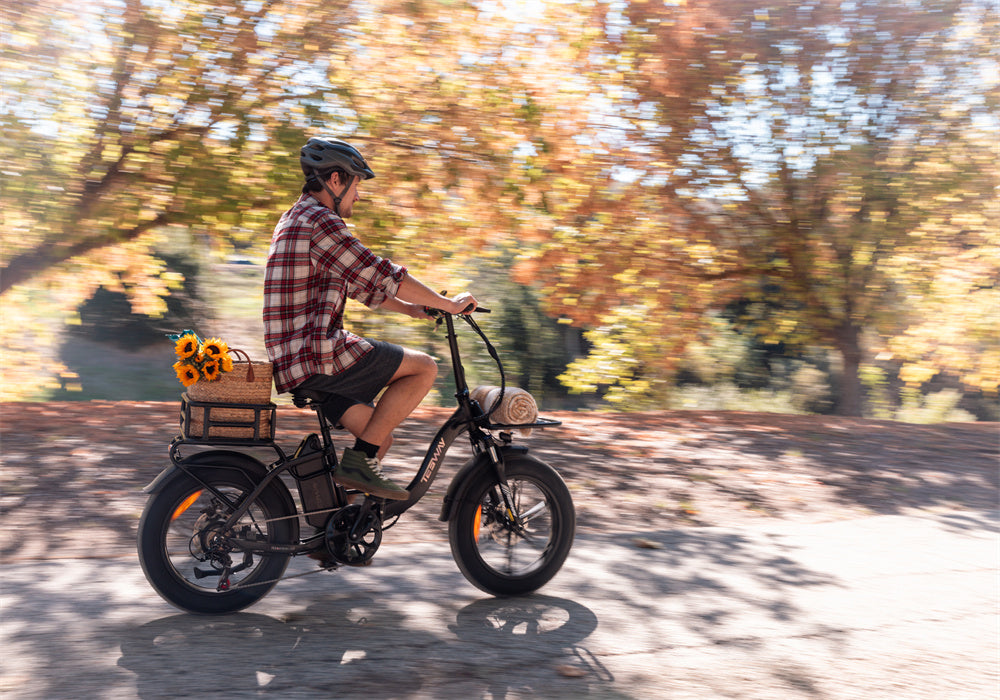 Tesway folding ebike