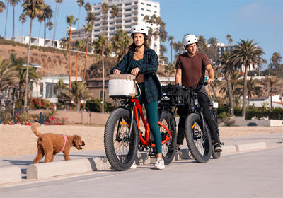 Spend Happy Time with Your Fluffy Buddy: Safe Ways to Bike with Your Dog