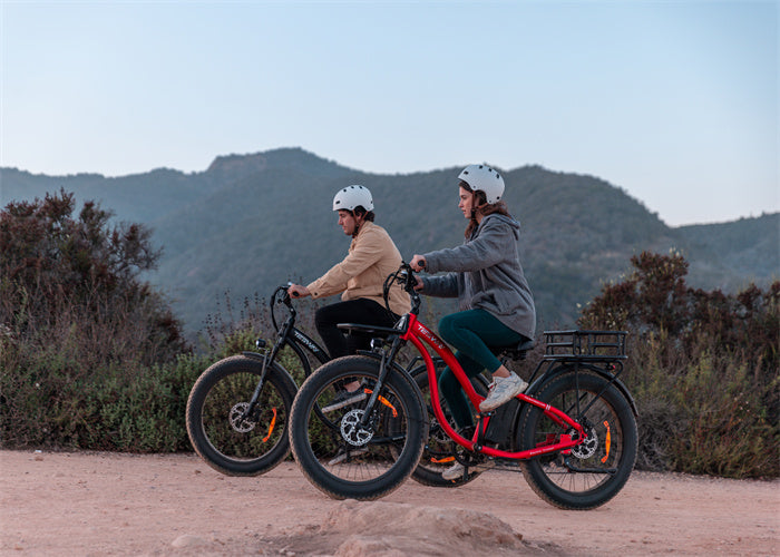 True Price Of Electric Bikes How Much Do Electric Bikes Cost Tesway US true-price-of-electric-bikes-how-much-do-electric-bikes-cost-tesway-us