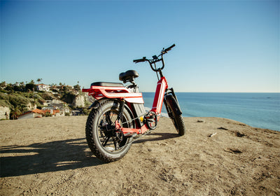 How to Store Electric Bike Battery in Winter