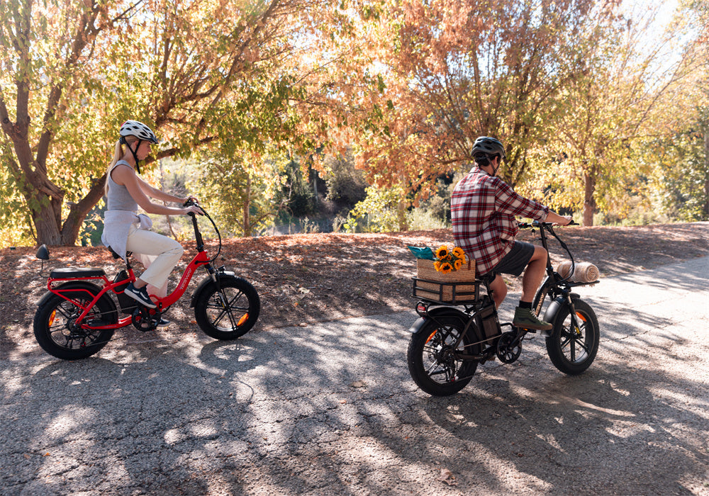 Tesway folding ebike