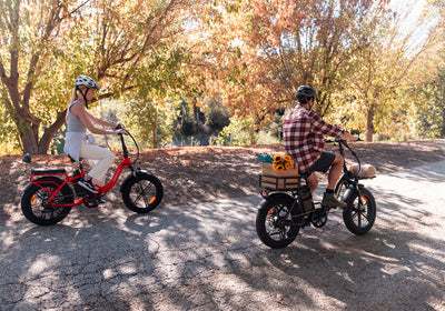 2024 Safe, Comfortable, and Easy-to-Handle Ebikes for Senior Women