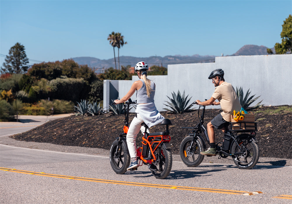 Tesway folding electric bikes