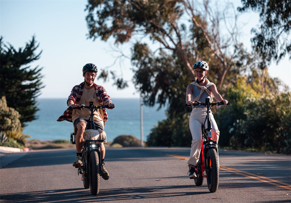 TESWAY folding bike