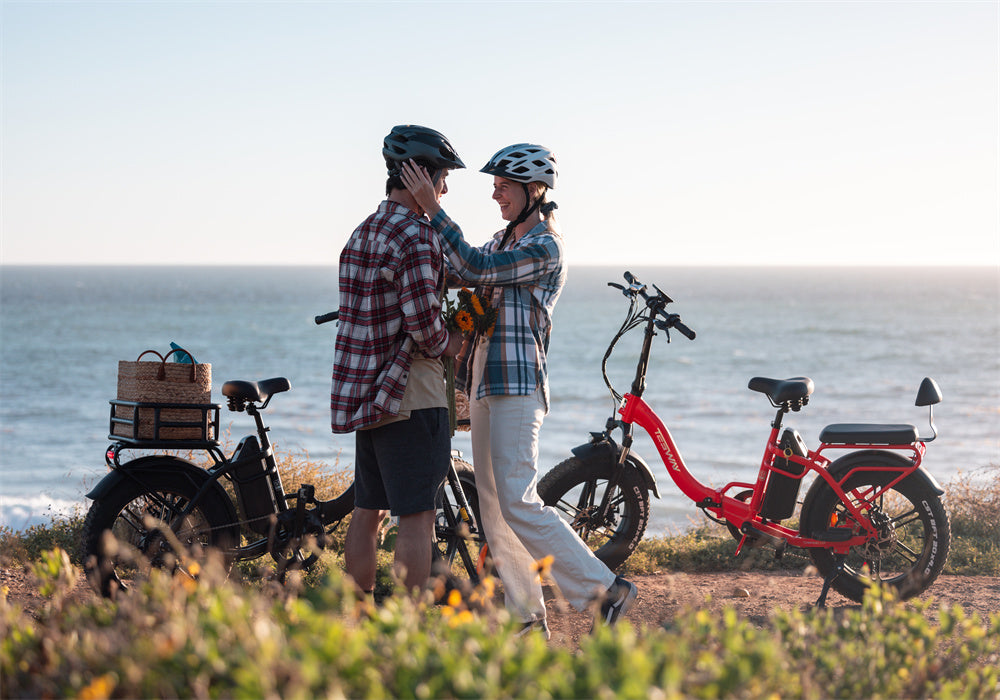 Tesway electric bike 