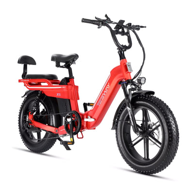 Tesway X5 750W Fat Tires Electric Bike